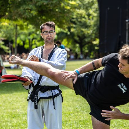 YOGA JUNKIES FESTIVAL 2026 - Sonntag