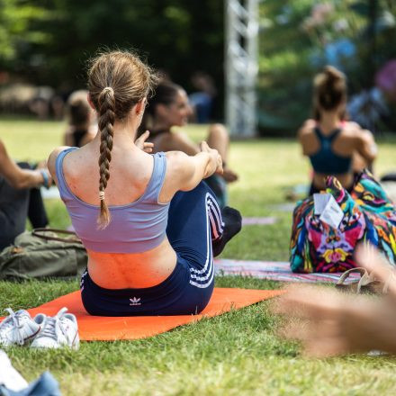 YOGA JUNKIES FESTIVAL 2026 - Sonntag