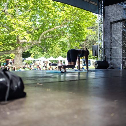 YOGA JUNKIES FESTIVAL 2026 - Sonntag
