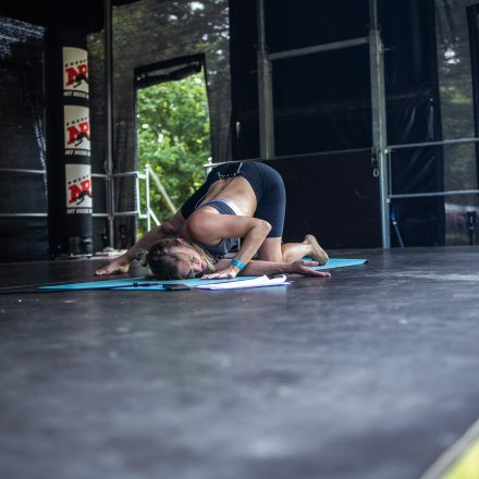 YOGA JUNKIES FESTIVAL 2026 - Sonntag