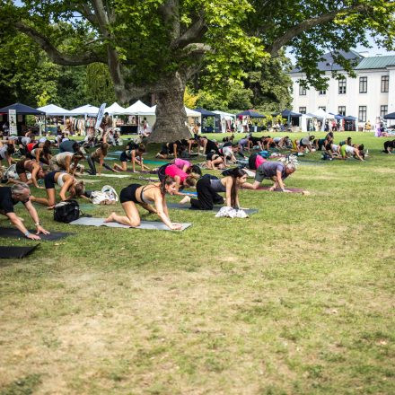 YOGA JUNKIES FESTIVAL 2026 - Sonntag