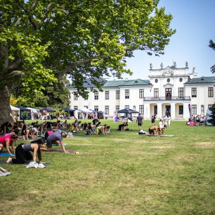 YOGA JUNKIES FESTIVAL 2026 - Sonntag