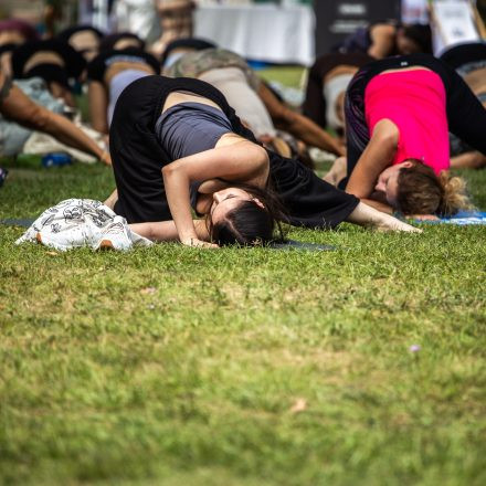 YOGA JUNKIES FESTIVAL 2026 - Sonntag