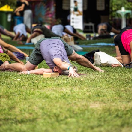 YOGA JUNKIES FESTIVAL 2026 - Sonntag