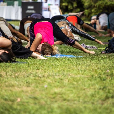 YOGA JUNKIES FESTIVAL 2026 - Sonntag