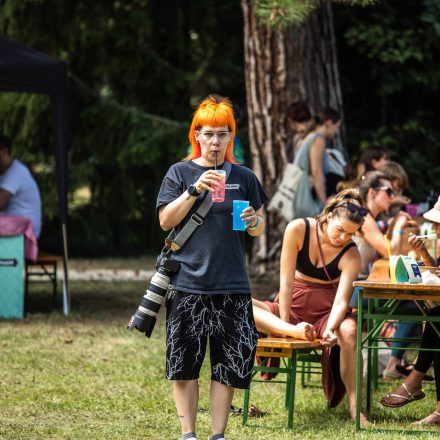 YOGA JUNKIES FESTIVAL 2026 - Sonntag