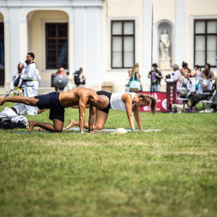 YOGA JUNKIES FESTIVAL 2026 - Sonntag