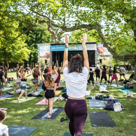 YOGA JUNKIES FESTIVAL 2026 - Sonntag