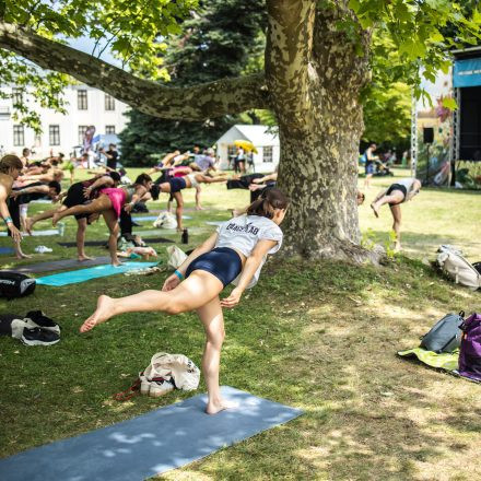YOGA JUNKIES FESTIVAL 2026 - Sonntag