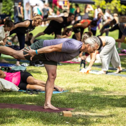 YOGA JUNKIES FESTIVAL 2026 - Sonntag