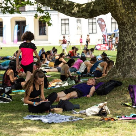 YOGA JUNKIES FESTIVAL 2026 - Sonntag