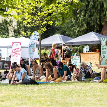 YOGA JUNKIES FESTIVAL 2026 - Sonntag