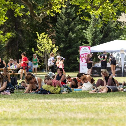 YOGA JUNKIES FESTIVAL 2026 - Sonntag