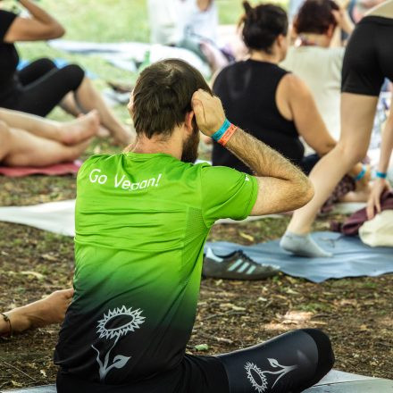 YOGA JUNKIES FESTIVAL 2026 - Sonntag