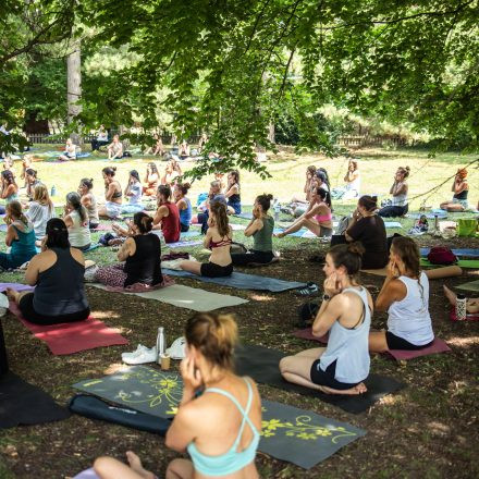 YOGA JUNKIES FESTIVAL 2026 - Sonntag