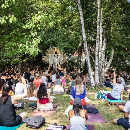 YOGA JUNKIES FESTIVAL 2026 - Sonntag