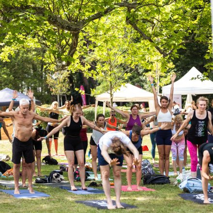 YOGA JUNKIES FESTIVAL 2026 - Sonntag