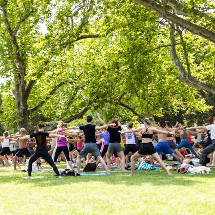 YOGA JUNKIES FESTIVAL 2026 - Sonntag