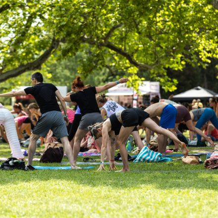 YOGA JUNKIES FESTIVAL 2026 - Sonntag