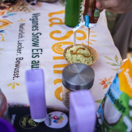 YOGA JUNKIES FESTIVAL 2026 - Sonntag