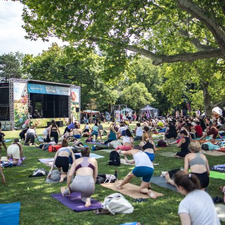 YOGA JUNKIES FESTIVAL 2026 - Sonntag