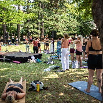 YOGA JUNKIES FESTIVAL 2026 - Sonntag