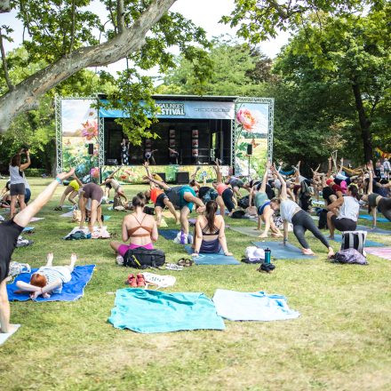 YOGA JUNKIES FESTIVAL 2026 - Sonntag