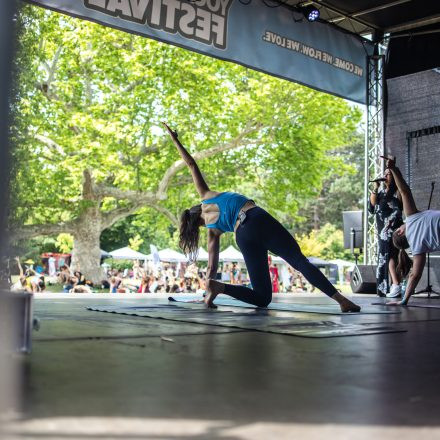 YOGA JUNKIES FESTIVAL 2026 - Sonntag