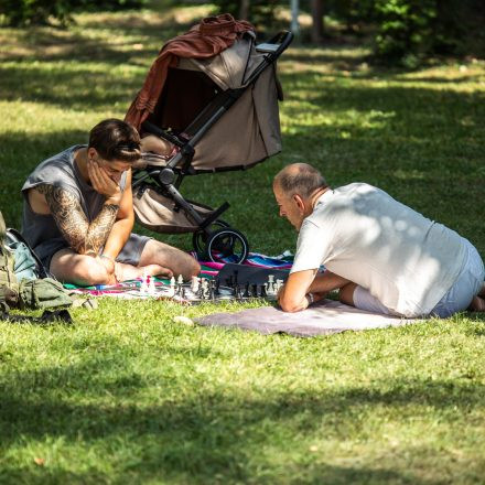 YOGA JUNKIES FESTIVAL 2026 - Sonntag