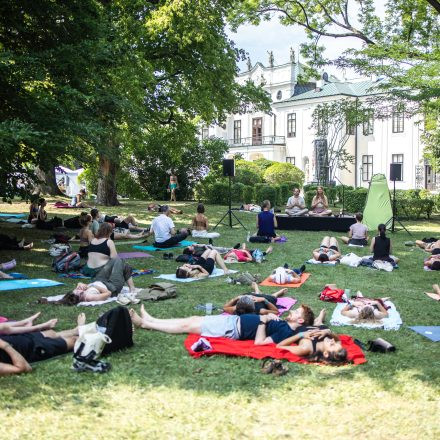 YOGA JUNKIES FESTIVAL 2026 - Sonntag