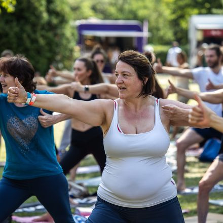 YOGA JUNKIES FESTIVAL 2026 - Sonntag