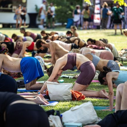 YOGA JUNKIES FESTIVAL 2026 - Sonntag