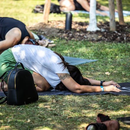 YOGA JUNKIES FESTIVAL 2026 - Sonntag