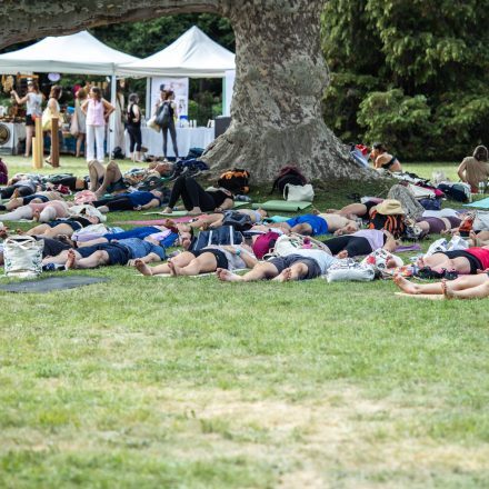 YOGA JUNKIES FESTIVAL 2026 - Sonntag