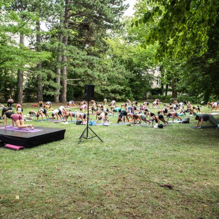 YOGA JUNKIES FESTIVAL 2026 - Sonntag
