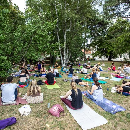 YOGA JUNKIES FESTIVAL 2026 - Sonntag