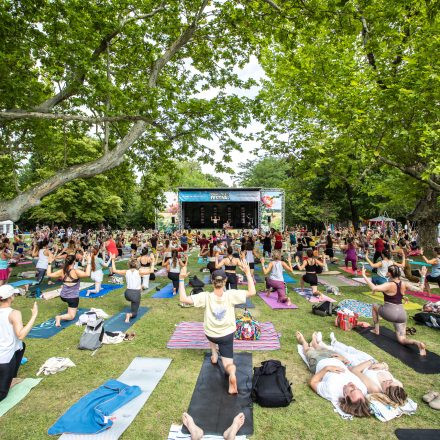 YOGA JUNKIES FESTIVAL 2026 - Sonntag
