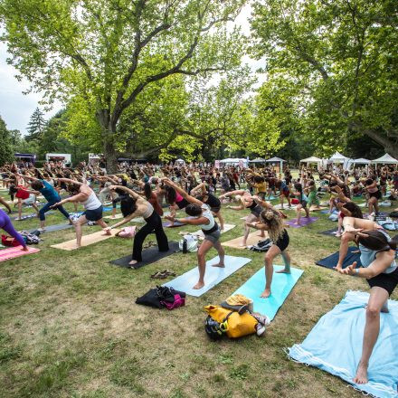 YOGA JUNKIES FESTIVAL 2026 - Sonntag