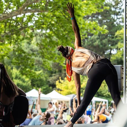 YOGA JUNKIES FESTIVAL 2026 - Sonntag