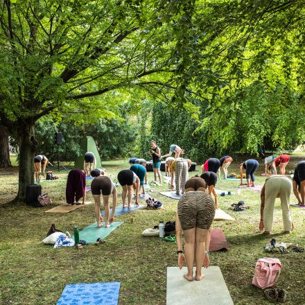 YOGA JUNKIES FESTIVAL 2026 - Sonntag