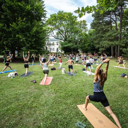 YOGA JUNKIES FESTIVAL 2026 - Sonntag