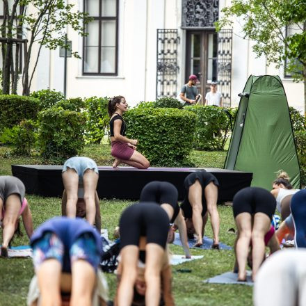 YOGA JUNKIES FESTIVAL 2026 - Sonntag