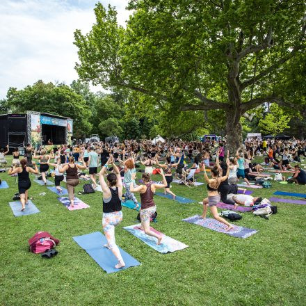 YOGA JUNKIES FESTIVAL 2026 - Sonntag