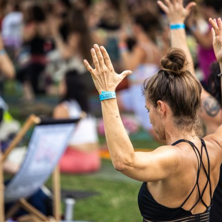 YOGA JUNKIES FESTIVAL 2026 - Sonntag