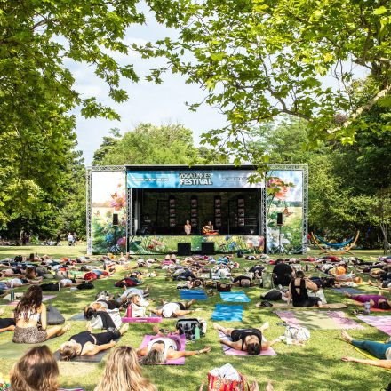 YOGA JUNKIES FESTIVAL 2026 - Sonntag