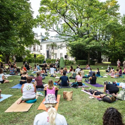 YOGA JUNKIES FESTIVAL 2026 - Sonntag