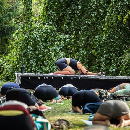 YOGA JUNKIES FESTIVAL 2026 - Sonntag