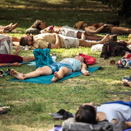 YOGA JUNKIES FESTIVAL 2026 - Sonntag