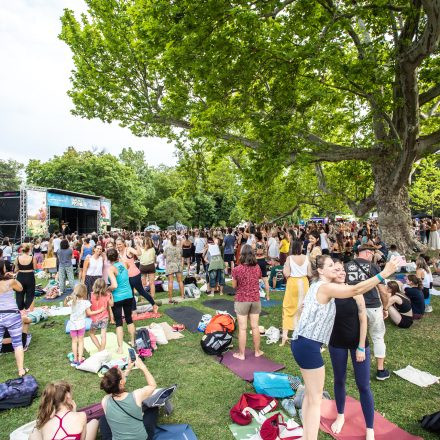 YOGA JUNKIES FESTIVAL 2026 - Sonntag