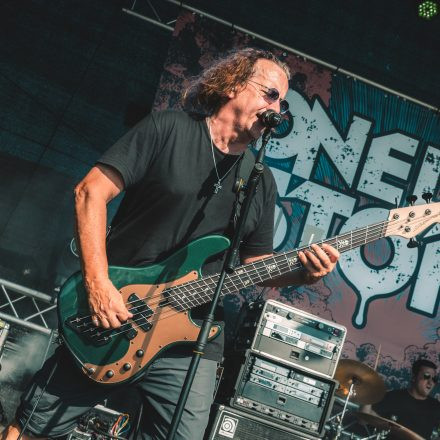 BRAINBRIDGE FESTIVAL 2026 - Donnerstag
